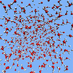 fly_in_single_mol